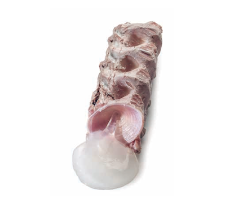 Balfegó bone marrow  frozen