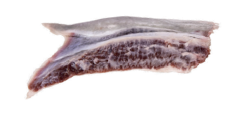 Balfegó ear frozen